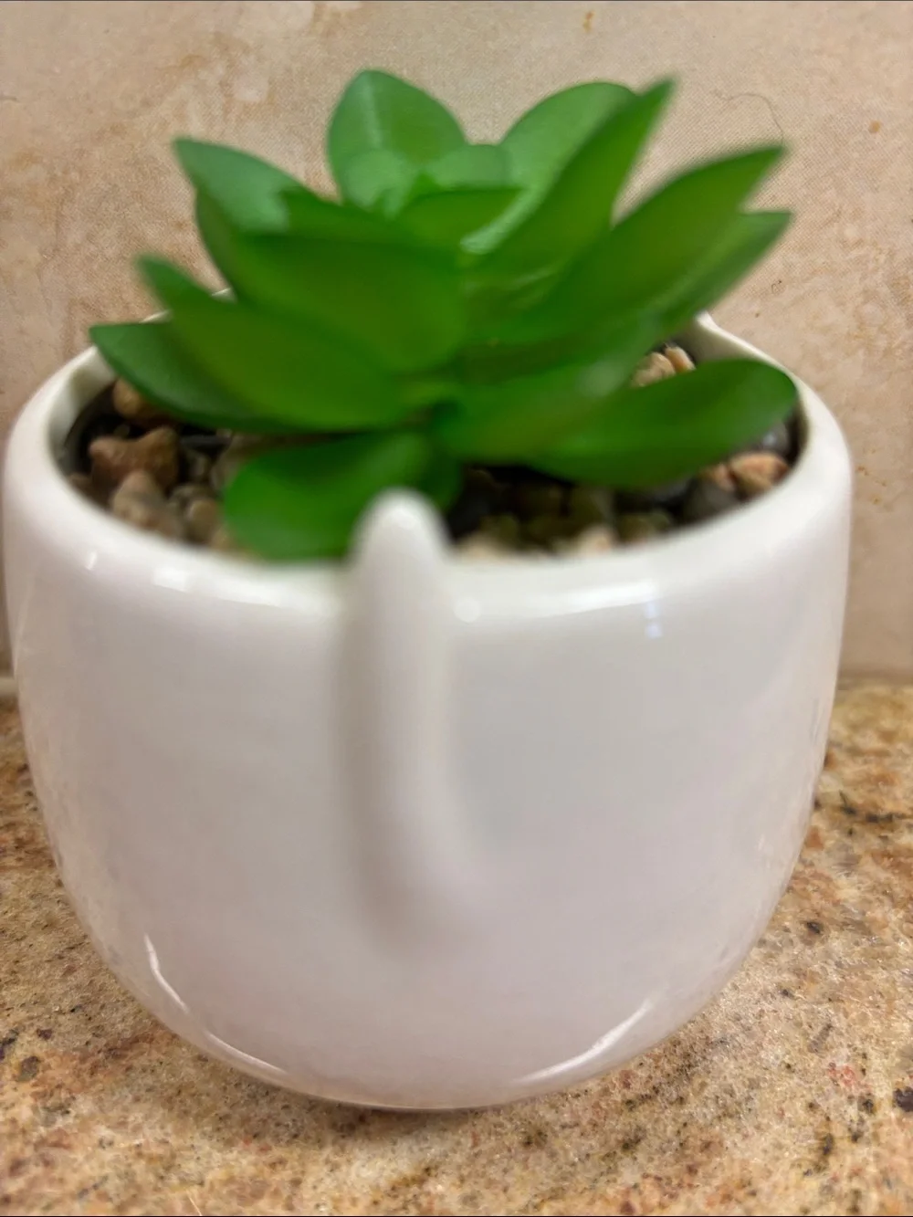 Cute White Cat Planter with Pink Ears & Faux Succulent